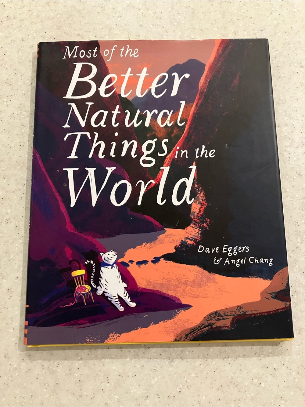 Most of the Better Natural Things in the World Hardcover Dave Eggers Angel Chang